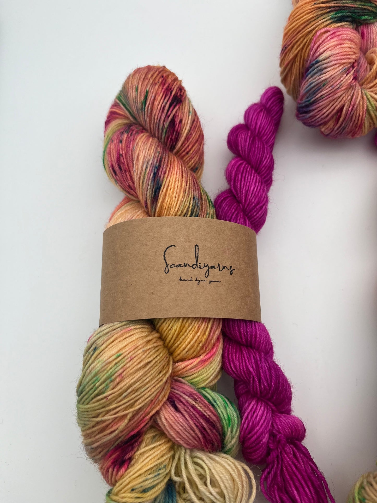 Bird of Paradise Classic Sock Set