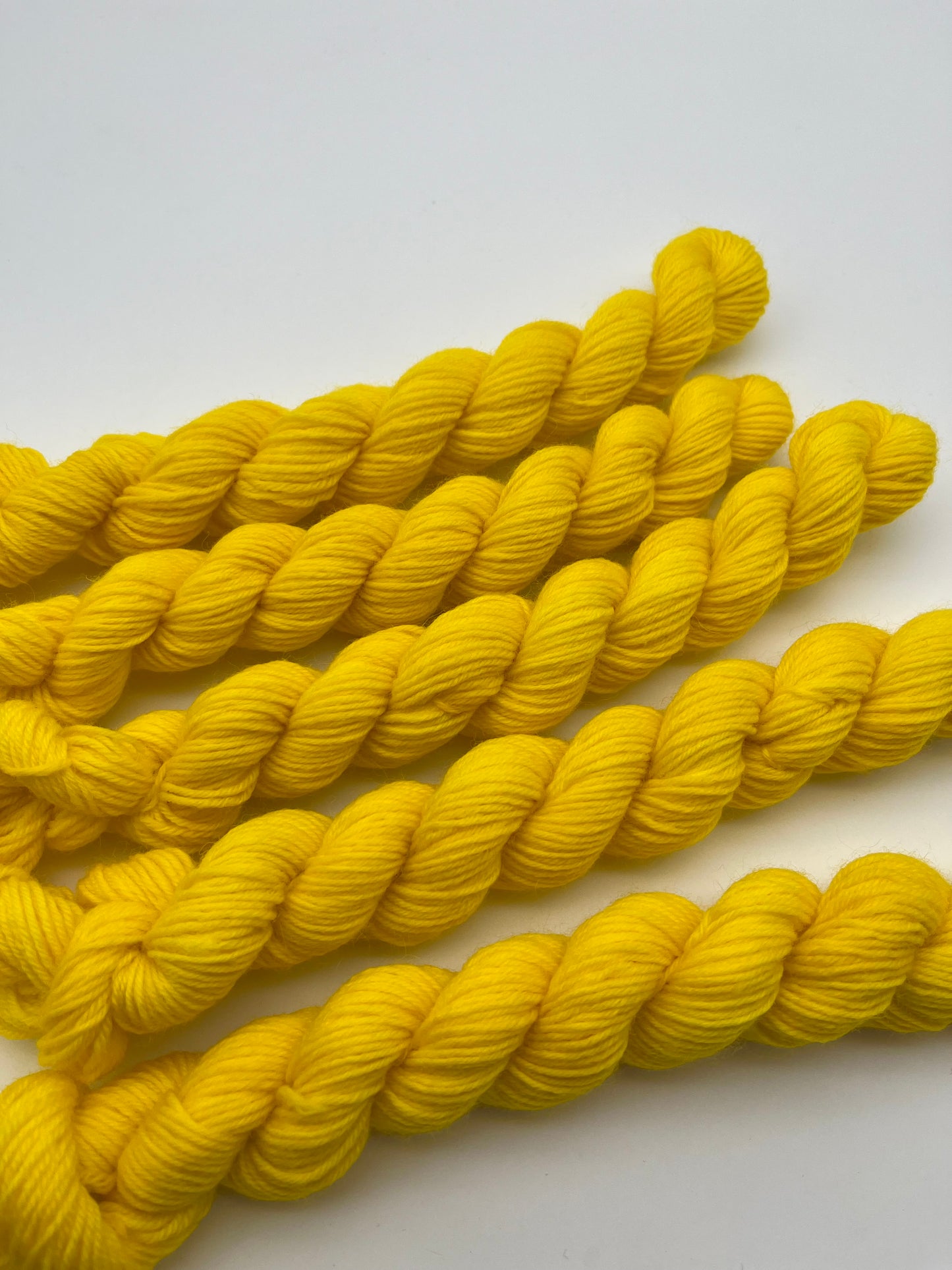 Sunflower Classic Sock Mini