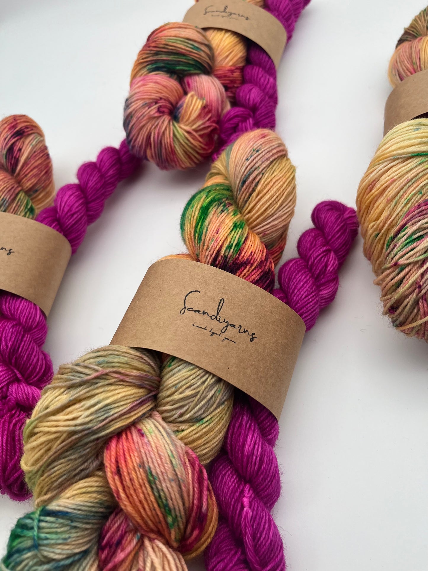 Bird of Paradise Classic Sock Set