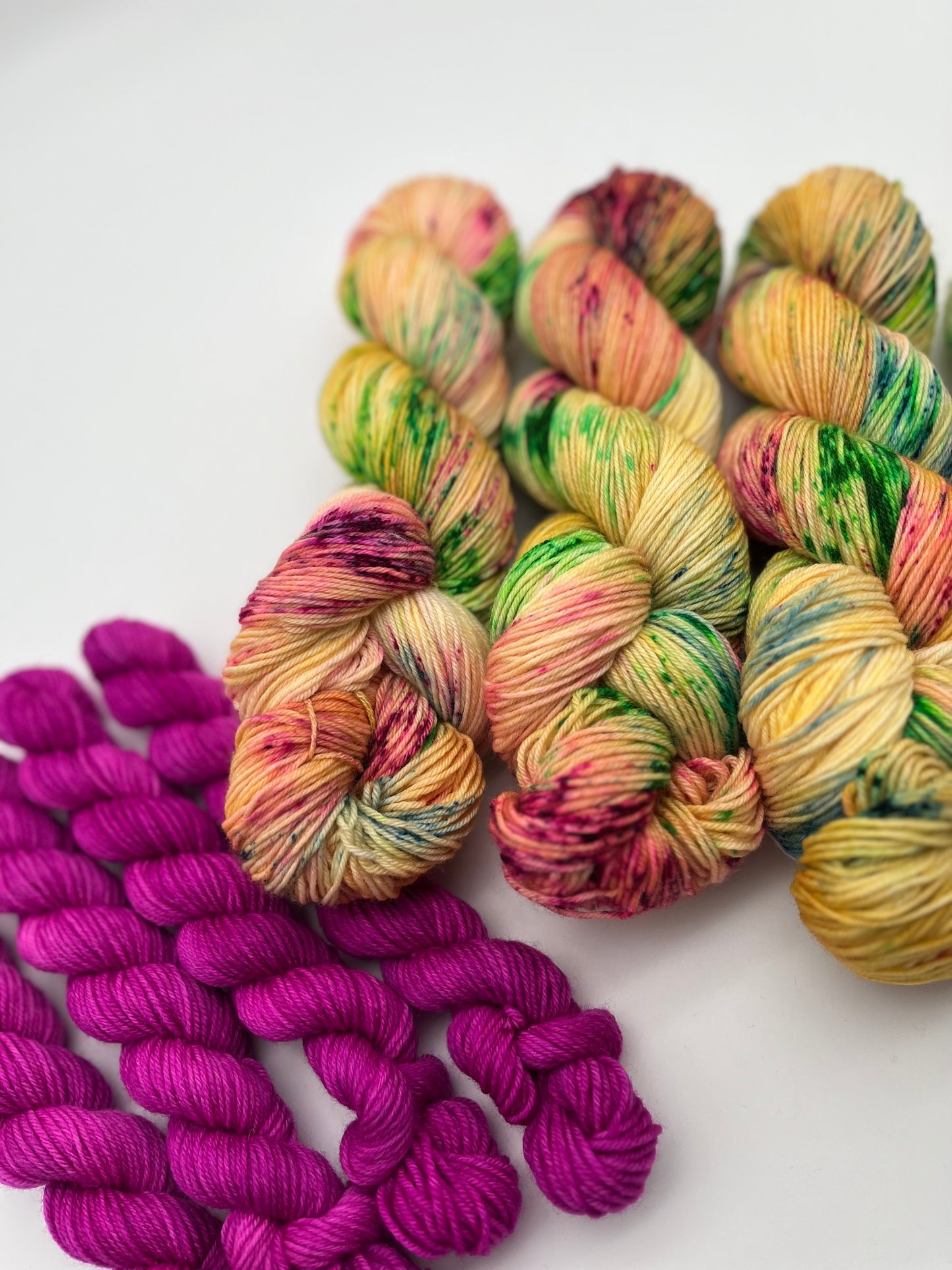 Bird of Paradise Soft Sock Set