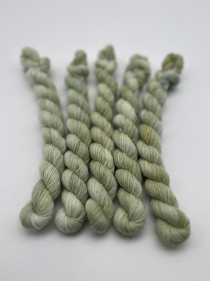 Pistachio Classic Sock Mini