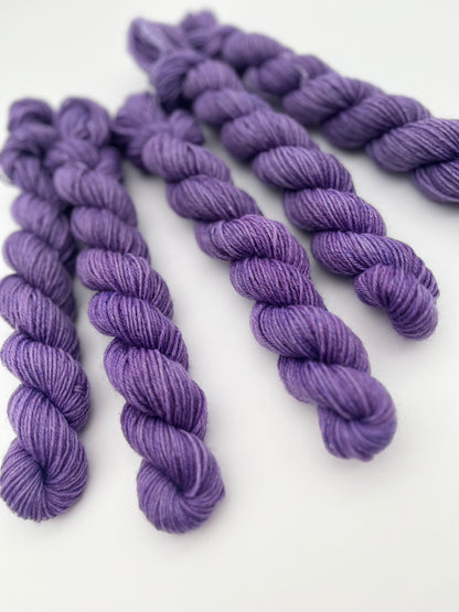 Crocus Classic Sock Mini