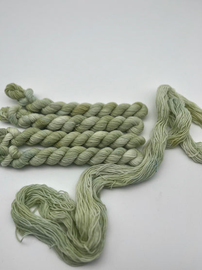 Pistachio Classic Sock Mini