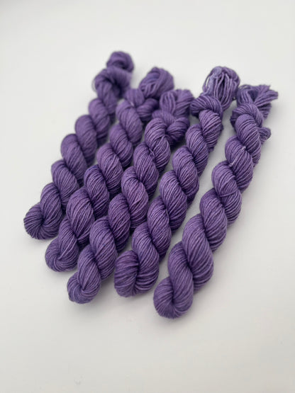 Crocus Classic Sock Mini