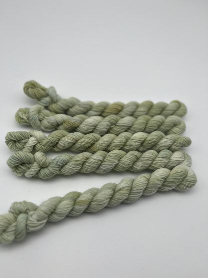Pistachio Classic Sock Mini
