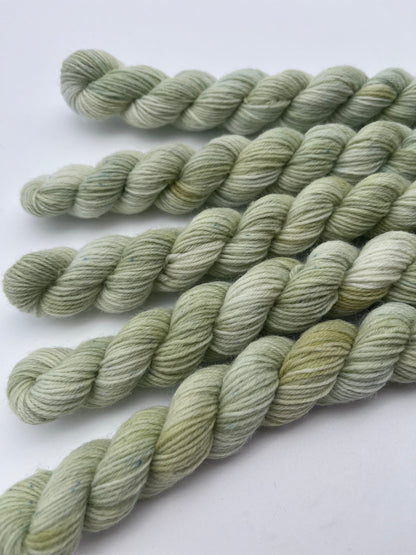 Pistachio Classic Sock Mini