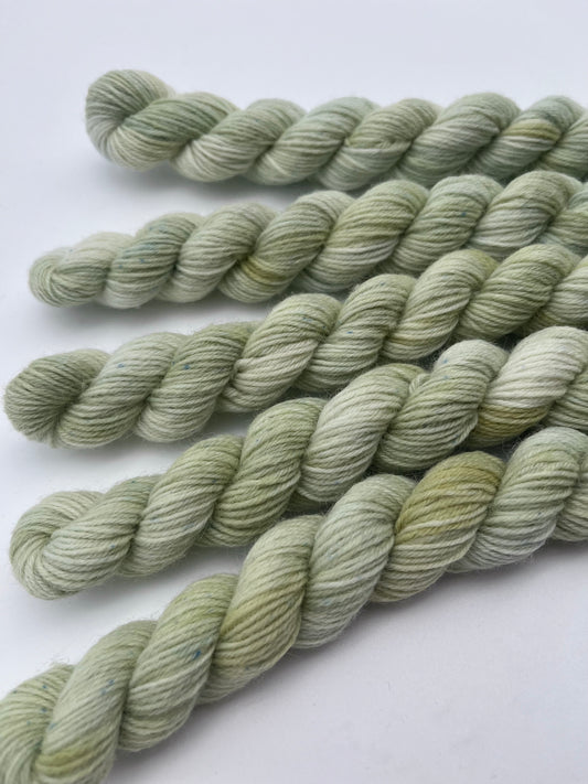 Pistachio Classic Sock Mini