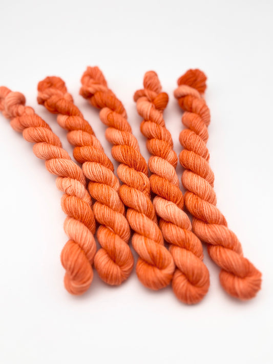 Coral Classic Sock Mini