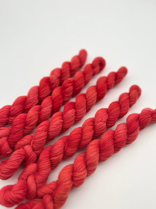 Cayenne Classic Sock Mini